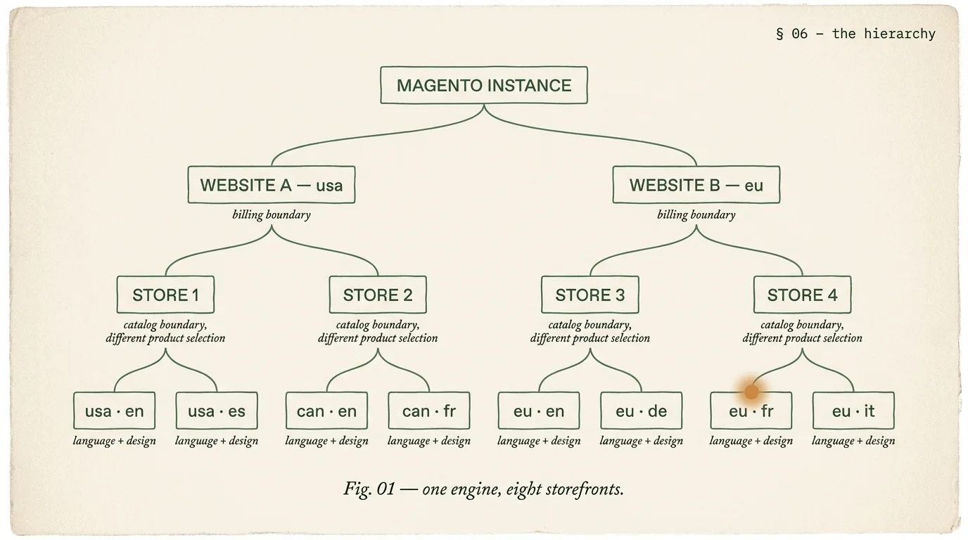 Editorial tree diagram showing the three-level Magento multi-store hierarchy a Magento developer architects in week one: one Magento instance branching to two websites, each branching to two stores, each branching to two store views, with an amber orb on one store-view leaf.